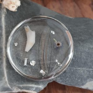 Médaillon talisman en résine – Création personnalisée spécifique sur demande, en lien avec les animaux
